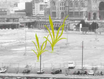 Maria Thereza Alves on Her Project “Seeds of Change”