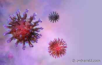 Coronavirus in Cumbria: Latest cases, hospital admissions and deaths - The Cumberland & Westmorland Herald
