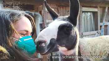 Tierischer Respekt: Haiterbacher Projektgruppe des MGH besucht Tierfarm