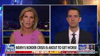 Tom Cotton slams Biden for using strategic oil reserves: 'This is not just a gimmick, it's dangerous'