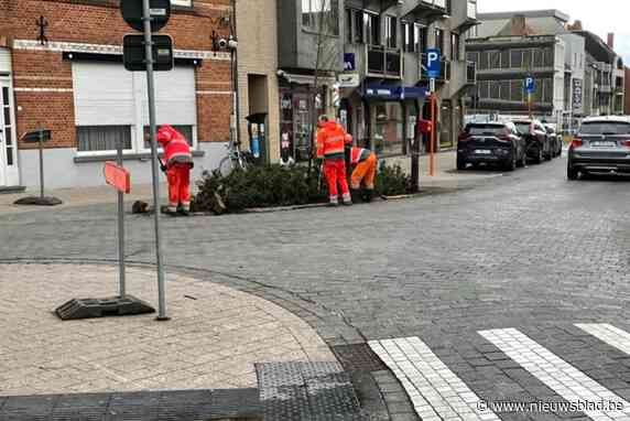 Paaltjes en beplanting overleven aanrijding niet