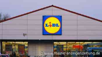 Lidl: Für mehr Unabhängigkeit - Discounter kauft eigene Containerschiffe