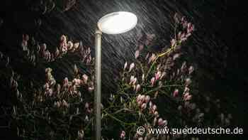 Wetter - Essen - Schneeballschlacht im April: Kaltes Wochenende in NRW - Panorama - Süddeutsche Zeitung - SZ.de