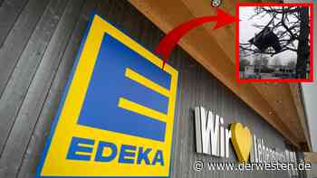 Essen: Chaos neben Edeka! Anwohner sind entsetzt - DER WESTEN