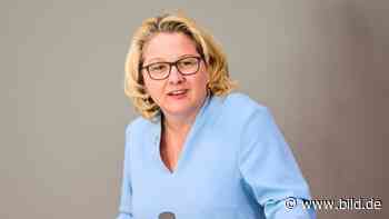 Entwicklungsministerin fordert: Deutsche sollen weniger Fleisch essen! - Politik Inland - Bild.de - BILD