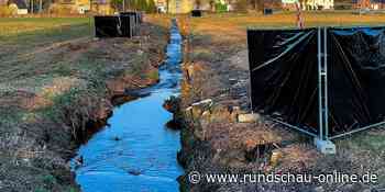 Euskirchen: Vögel könnten Renaturierung des Veybachs stören - Kölnische Rundschau
