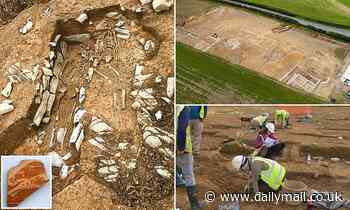 Skeleton of a Roman mercenary is unearthed in the Welsh countryside