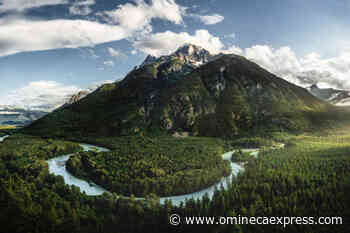 Chilcotin photographer's Great Bear Rainforest images featured in National Geographic – Vanderhoof Omineca Express - Omineca Express