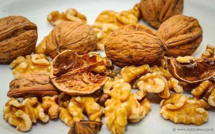 A cosa fa bene mangiare le noci? devi assolutamente saperlo - TuttoAbruzzo.it