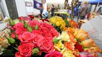 Es ist ganz schön was los in Hamminkeln am Wochenende - NRZ News