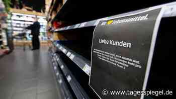 Streit um Brachflächen in der Landwirtschaft: Essen oder Klimaschutz? - Wirtschaft - Tagesspiegel