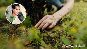 Sind biologische Weine anfälliger für Schimmel? - BLICK