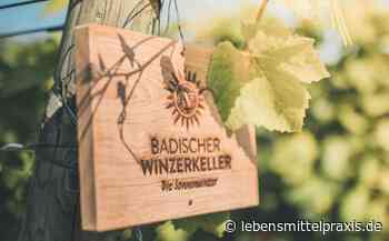 Badischer Winzerkeller - 1.000 Weine werden aussortiert - Lebensmittelpraxis.de - Lebensmittel Praxis