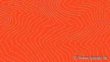 Die Sache mit dem Lachs: Soll man diesen Fisch noch essen? - DER SPIEGEL