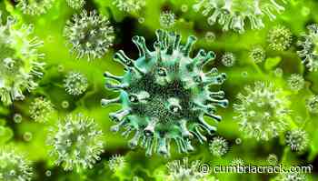 Coronavirus in Cumbria: Latest cases, hospital admissions and deaths - cumbriacrack.com - Cumbria Crack