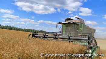 Ukraine-Krieg: Wie Deutschland jetzt mit Lebensmitteln hilft