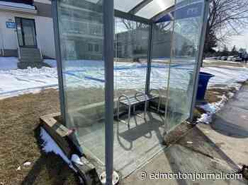 Autopsy rules bus stop stabbing death a homicide: Edmonton police