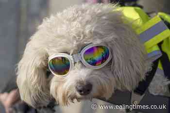 Britain basked in sunniest March in almost a century – Met Office - Ealing Times