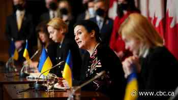 Ukrainian MPs urge Canada to provide money for weapons to fight Russia