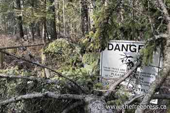 Elk Valley trail disappearing under fallen trees – The Free Press - The Free Press