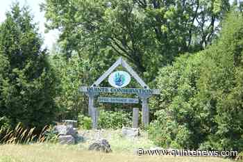 Potter's Creek Trail System being rerouted due to invasive species - Quinte News