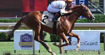 Post Time: Star-studded Saturday on the Kentucky Derby Trail - Buffalo News