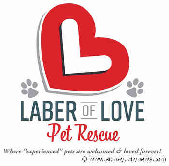 Mystery dinner fundraiser planned - sidneydailynews.com