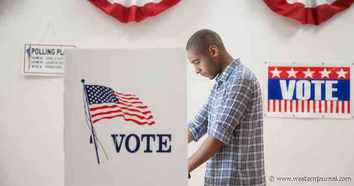 Kelli Ward: Governor's Signature on Election Security Law Was Barely Dry When Democrats Executed Their Plan