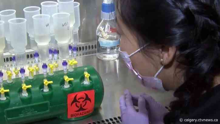 Kenney unconcerned by rise in COVID-19 cases, encourages Albertans to seek booster shots