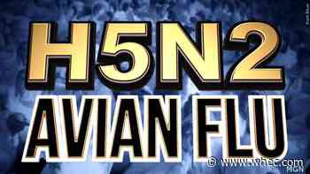 Monroe County reports first case of bird flu