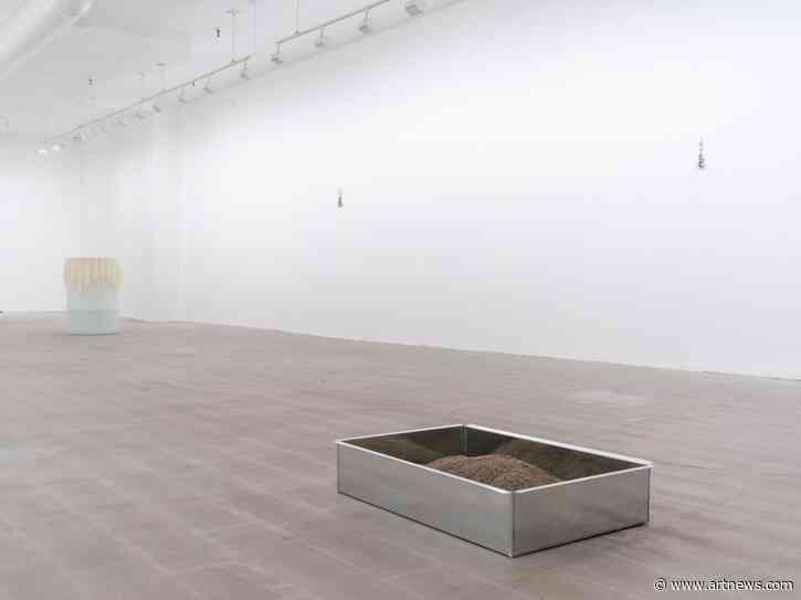 Stretched, Stained, and Shed Skins: Quay Quinn Wolf at Jack Barrett