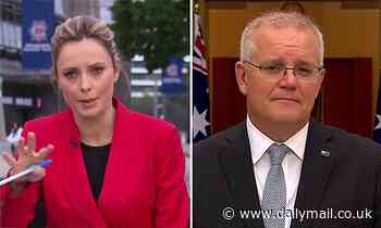 Scott Morrison slammed by Ally Langdon for telling struggling Australians renters to buy a house - Daily Mail