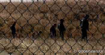 Calgary police investigating homicide in Arbour Lake greenspace