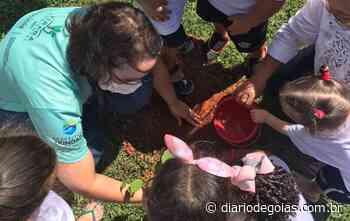 Projeto “ArborizaTrin” realiza plantio de mudas de árvores em Trindade - Diário de Goiás