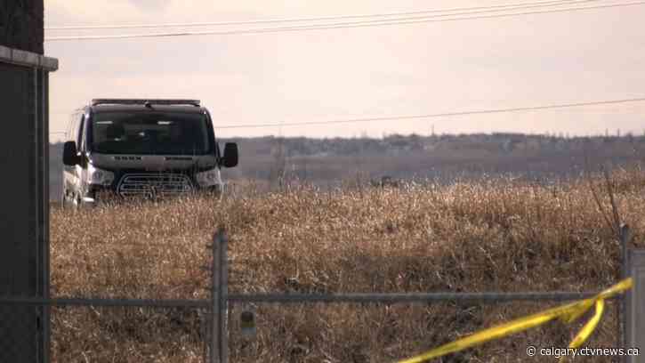 16-year-old found dead in Arbour Lake park identified by Calgary police