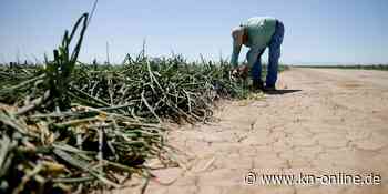 Kalifornien droht bereits jetzt ein extremer Dürresommer