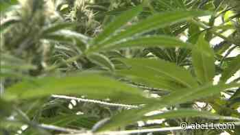 House votes to decriminalize marijuana at federal level but bill expected to die in Senate