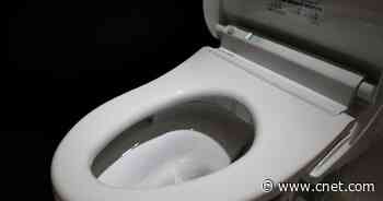 Google: Bye-Bye, Bidets. Employees: Not So Fast.     - CNET