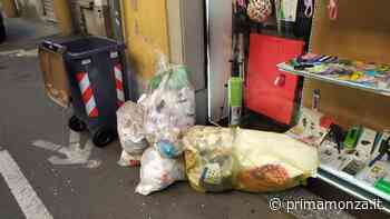 Trash mob contro la raccolta rifiuti a Monza - Prima Monza