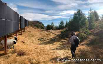 Ausbau der Fotovoltaik - Bund soll Solarprojekte in den Alpen vorantreiben - Tages-Anzeiger