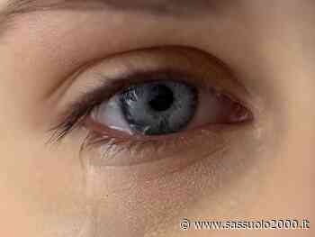 Tutela minori, in provincia di Modena al via l'equipe multidisciplinare con personale specializzato a sostegno dei servizi - sassuolo2000.it - SASSUOLO NOTIZIE - SASSUOLO 2000