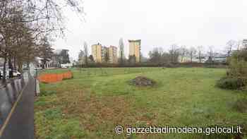 Il Modena calcio regala alla città un bosco “gialloblù” con eventi e socialità «Sarà il Parco 110» - La Gazzetta di Modena