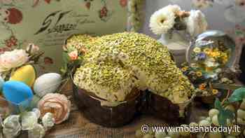 Dove comprare a Modena le colombe artigianali migliori - ModenaToday