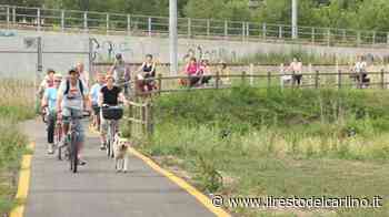 Modena, il maxi bosco del Comune bocciato dagli ambientalisti - il Resto del Carlino
