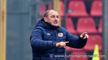 Cosenza-Parma, i convocati di Bisoli: tornano Palmiero, Caso, Situm e Pandolfi - TUTTO mercato WEB