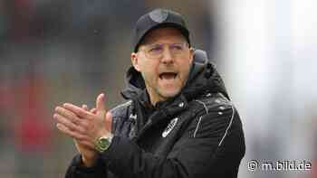 „Pflichtaufgabe" Bonn?: Hildmann will Preußen sexy machen - Fussball-Mix - Bild.de - BILD