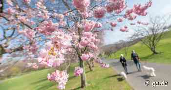 Wetterbilanz: 249 Stunden Sonne führen zu März-Rekord in Bonn - General-Anzeiger Bonn
