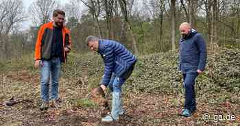 Flughafen Köln/Bonn und Eurowings pflanzen 6000 Bäume - General-Anzeiger Bonn