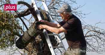 Wechsel beim Nabu in Trebur - Kunert - Echo Online