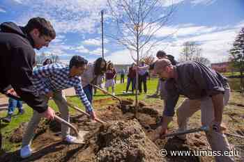 Earthly Investment: Sustainability at UMass Amherst - UMass News and Media Relations